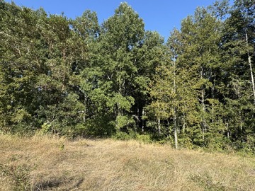 Venta / Parcela / Villarrica