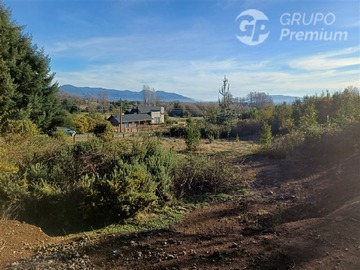 Imagen 6