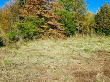 Venta / Parcela / Villarrica