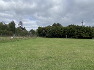 Venta / Parcela / Villarrica