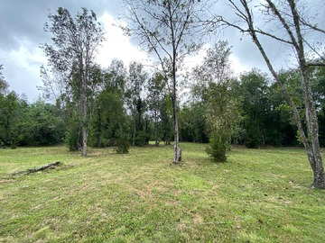 Venta / Parcela / Villarrica