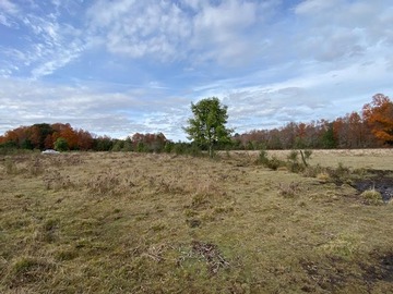 Venta / Parcela / Villarrica