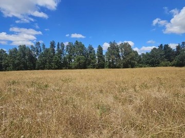 Venta / Parcela / Villarrica
