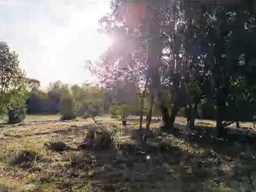 Imagen 5