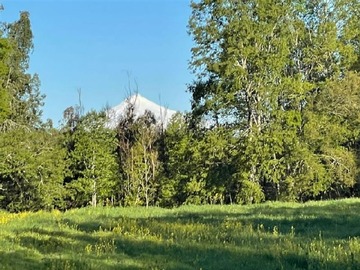 Venta / Parcela / Villarrica