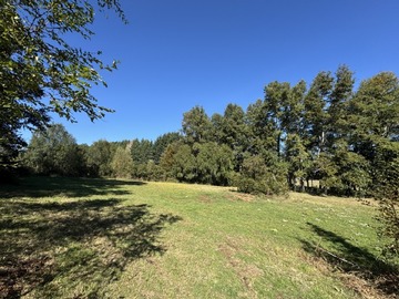 Venta / Parcela / Villarrica