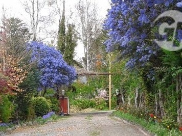Venta / Parcela / Villarrica