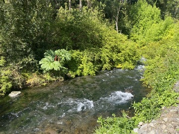 Imagen 10