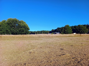 Venta / Parcela / Villarrica