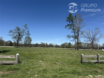 Venta / Parcela / Villarrica