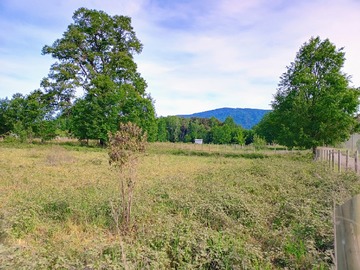 Venta / Parcela / Villarrica
