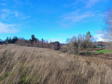 Venta / Parcela / Villarrica