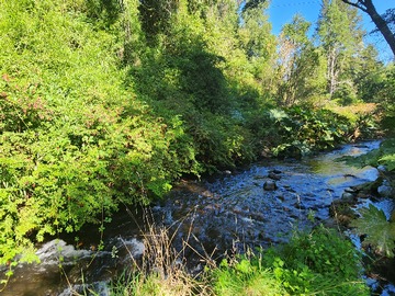 Río