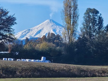 Venta / Parcela / Villarrica