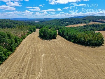 Venta / Parcela / Villarrica