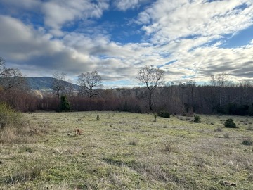 Venta / Parcela / Villarrica