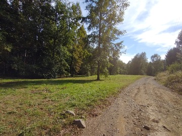 Venta / Parcela / Villarrica