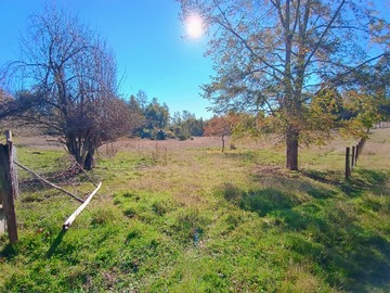 Venta / Parcela / Villarrica