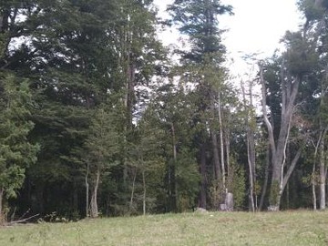 Imagen 6