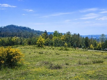 Venta / Parcela / Villarrica
