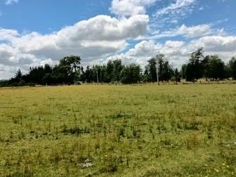 Venta / Parcela / Villarrica