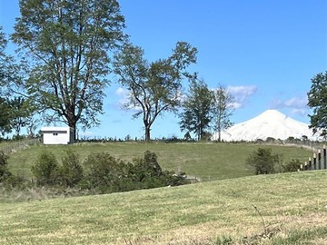 Venta / Parcela / Villarrica