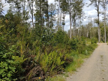 Venta / Parcela / Villarrica