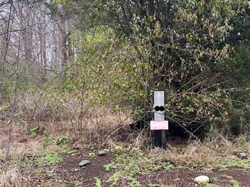 Venta / Parcela / Villarrica