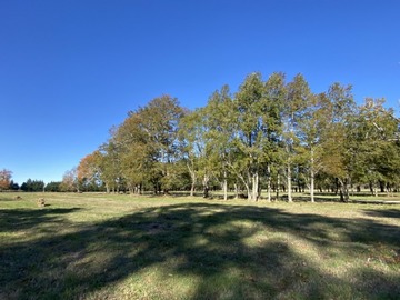 Venta / Parcela / Villarrica