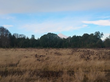 Venta / Parcela / Villarrica