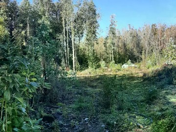 Venta / Parcela / Villarrica