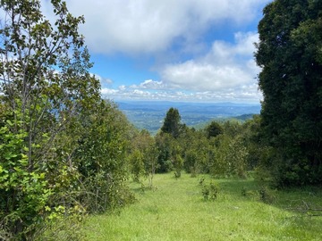 Venta / Parcela / Villarrica