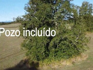 Imagen 8