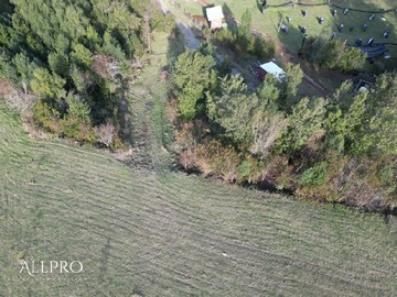 Imagen 9