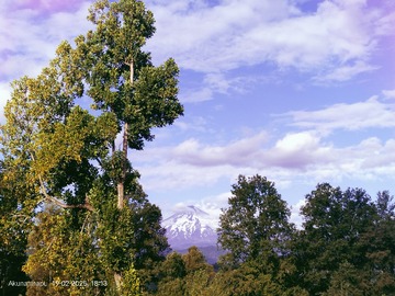 Venta / Parcela / Villarrica