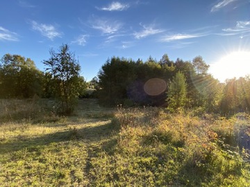 Venta / Parcela / Villarrica