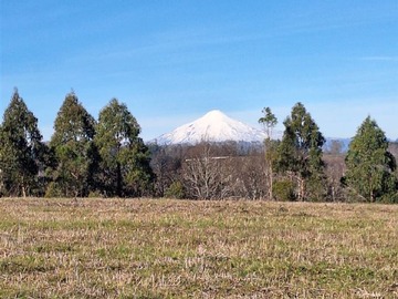 Venta / Parcela / Villarrica