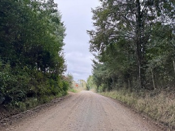 Venta / Parcela / Villarrica