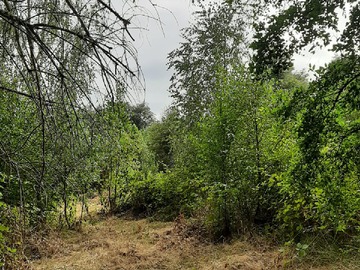 Venta / Parcela / Villarrica