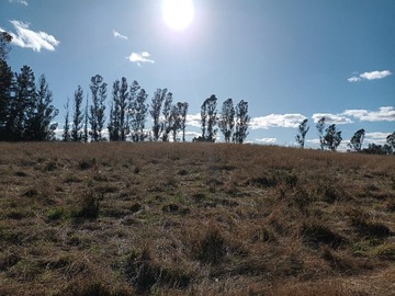 Venta / Parcela / Villarrica