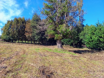 Venta / Parcela / Villarrica