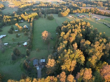 Venta / Parcela / Villarrica