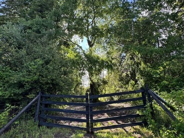 Venta / Parcela / Villarrica