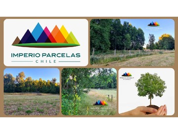 Venta / Parcela / Villarrica