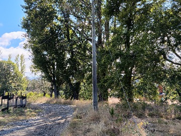 Venta / Parcela / Villarrica