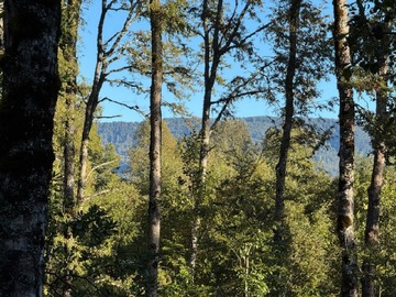 Venta / Parcela / Villarrica