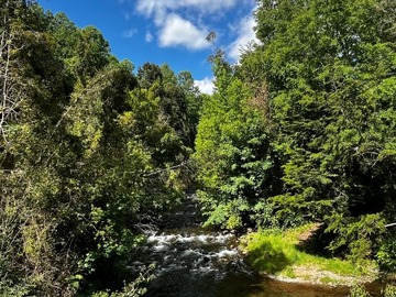 Venta / Parcela / Villarrica