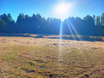 Venta / Parcela / Villarrica