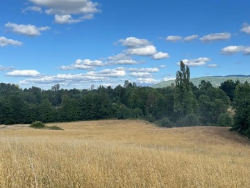 Venta / Parcela / Villarrica