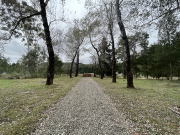Imagen 9